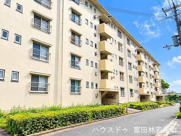 外観：327002784691