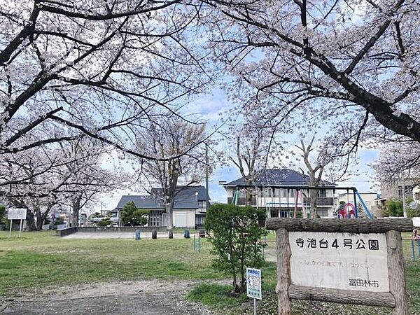 周辺を拡大表示