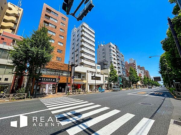 敷地の近くに東京大学本郷キャンパスがあり、上層階からは東大敷地内の豊かな緑を望むことができます。
