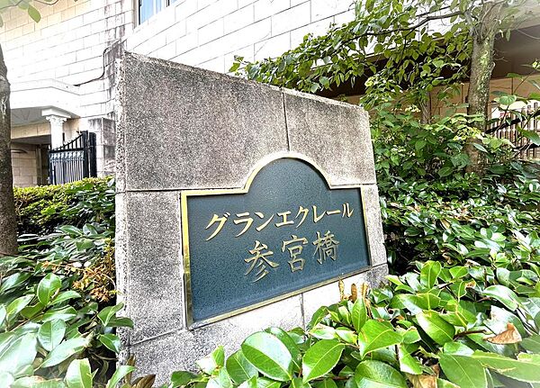 現地（2026年07月）撮影■新規内装フルリノベーション工事実施■南東×北東の角部屋■都心に近く緑豊かなエリア「参宮橋駅」まで徒歩2分。都心の良さと自然を満喫できる立地です。