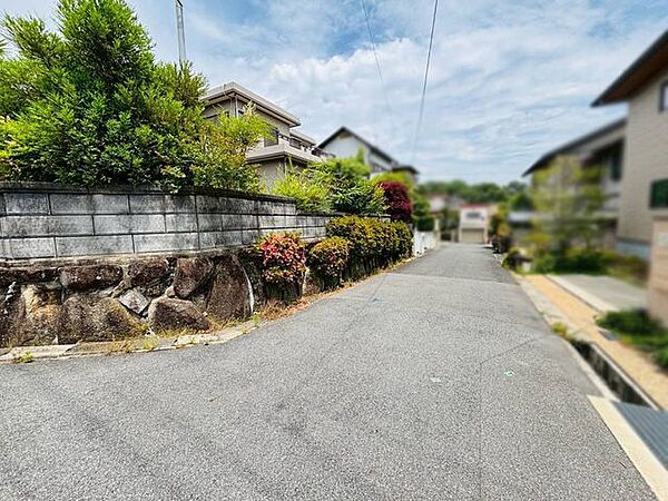 前面道路南側の歩道を約50ｍで公園にアクセスできます。小さいお子様とのちょっとしたお散歩にも便利です♪