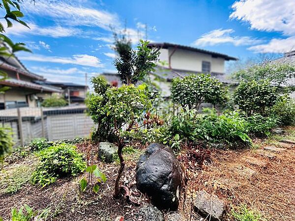 南側の隣地は一段低い為、日影になりにくく、敷地南側の陽当たり良好です♪