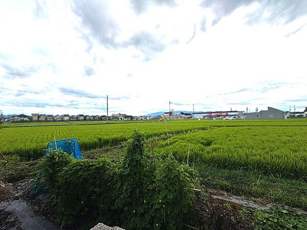 敷地南側の隣地は青々とした田園風景が広がり、季節の移り変わりを感じさせる情景です♪