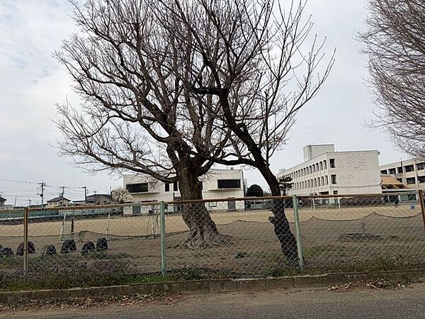大泉町立北小学校 300m