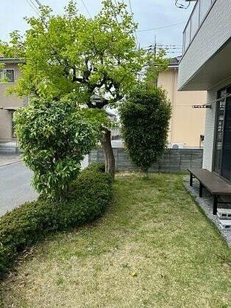 庭