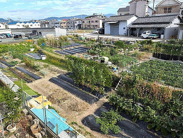 敷地南側隣接の畑です！