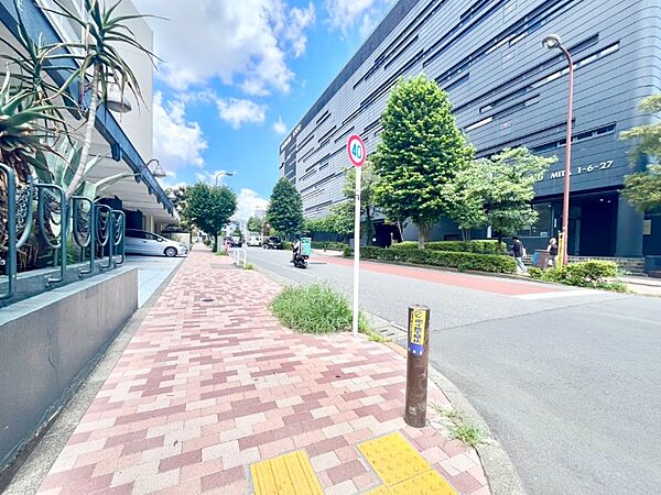 【その他】前面道路（目黒三田り）