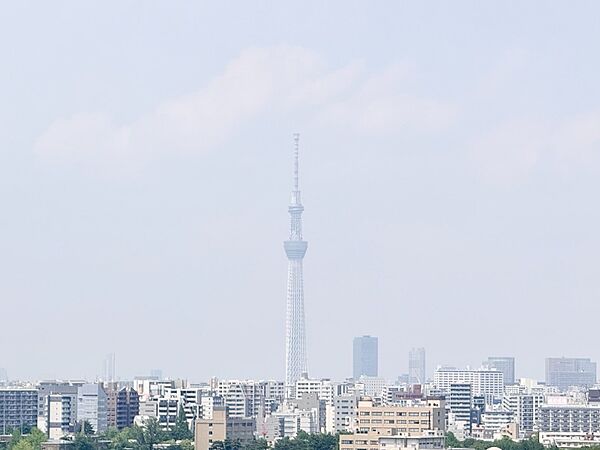東京スカイツリーを眺めることが可能※天候によって変わる場合もございます