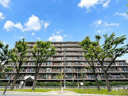 外壁タイル貼り。上品な佇まいのマンションです。