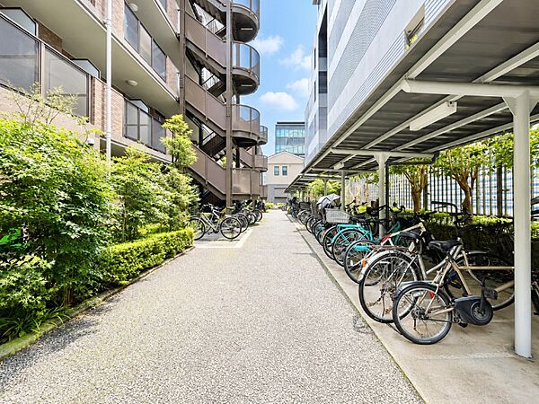 きちんと整頓された自転車置き場。管理状態の良さがうかがえます。