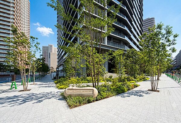 水と緑に癒やされ 心解き放たれる日常へ
