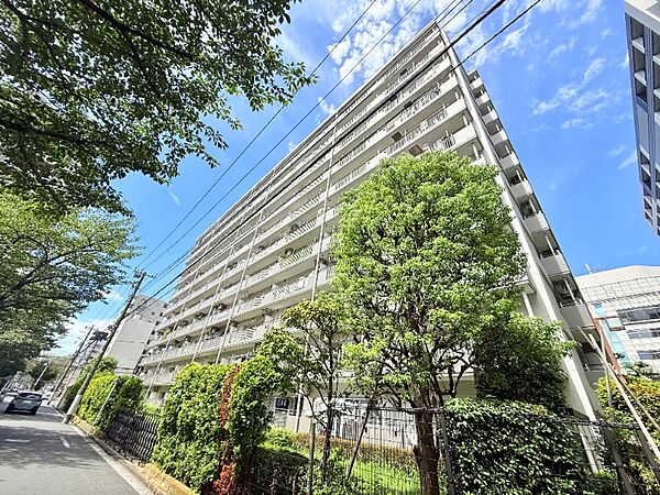上品な佇まいの重厚感のあるマンションです。