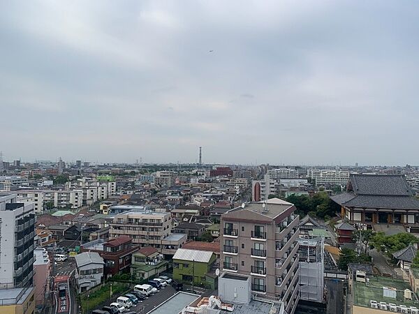 開放感のある眺望