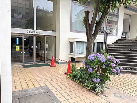 エントランス/植栽等の手入れが行き届いていて、管理体制良好なマンションです。