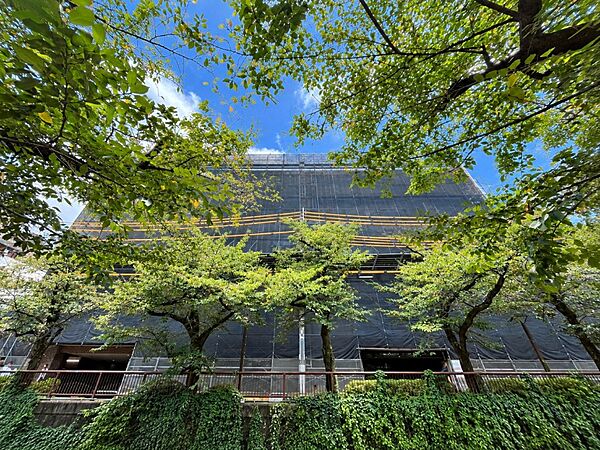 眼下には「目黒川」を望む開放的な眺望！周囲には高層の建物が少なく、遠くまで見渡せます。