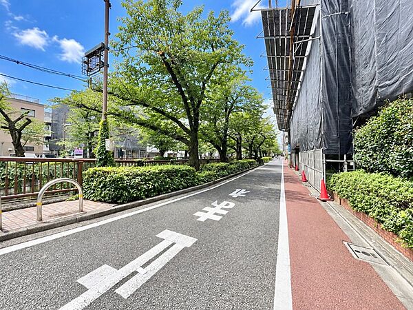 【その他】前面道路（目黒川沿い）