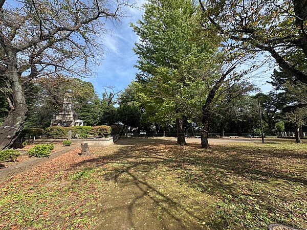 周辺を拡大表示