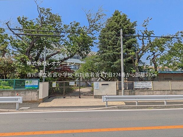 市川市立若宮小学校(310m)