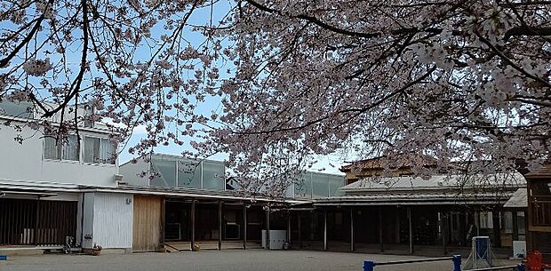シオン幼稚園 769m
