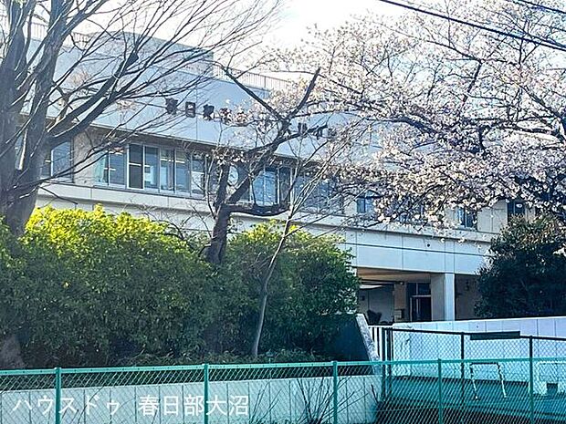 大増中学校 990m