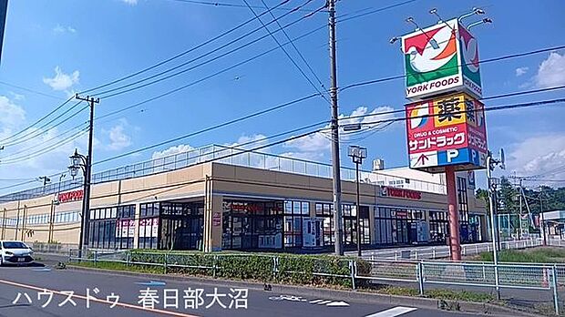 ヨークフーズ東岩槻店 1010m