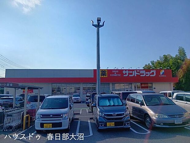 サンドラッグ岩槻店 700m