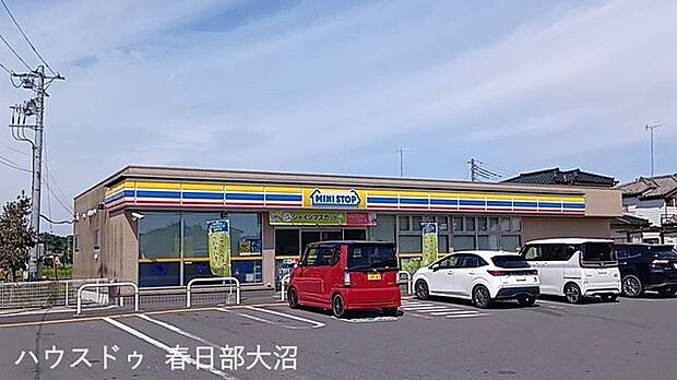 ミニストップ岩槻飯塚店 2200m