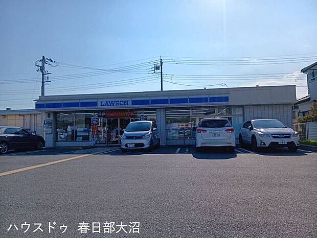 ローソン岩槻南平野店 590m