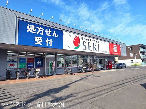 セキ薬局春日部大沼店 250m