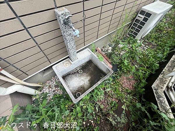 庭
