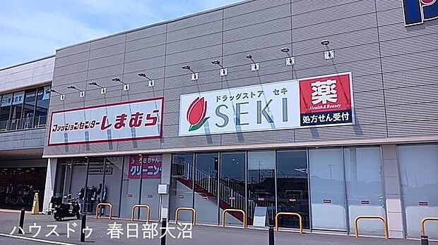 セキ薬品ピアシティ宮代店 1060m