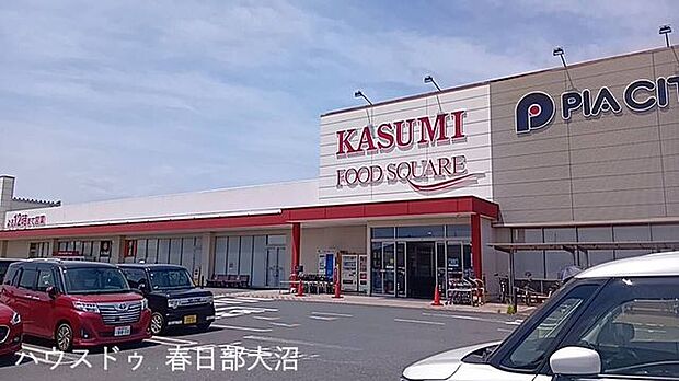 カスミ宮代店 1060m