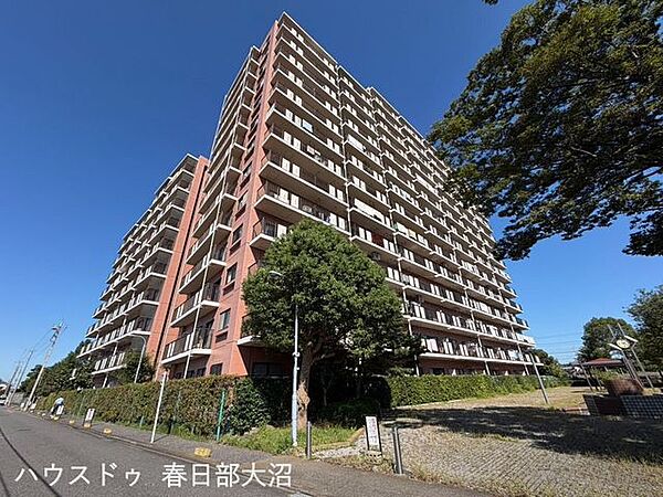 外観：311002497808