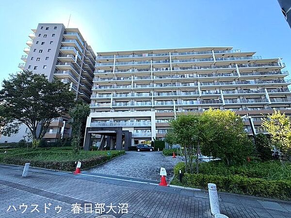 外観：311002498646