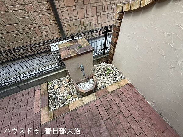 庭
