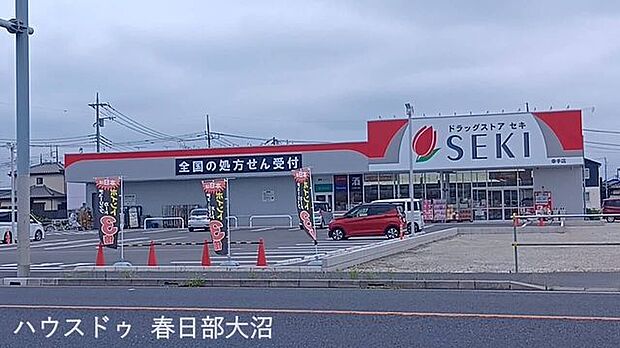 セキ薬品幸手店 1190m
