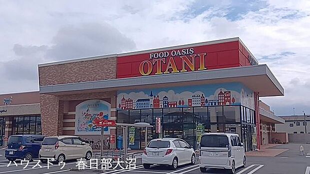 フードオアシスオオタニ幸手店 100m