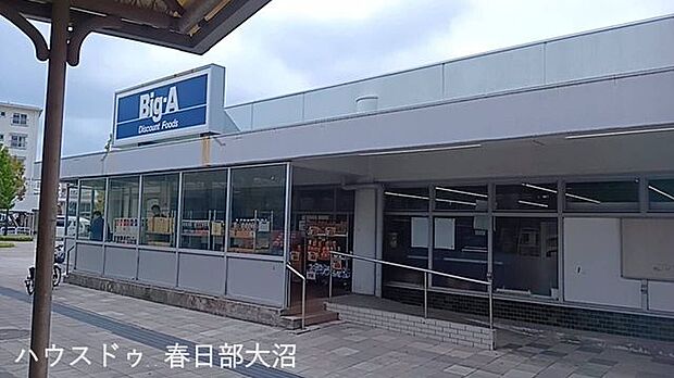 Big A幸手団地店 930m