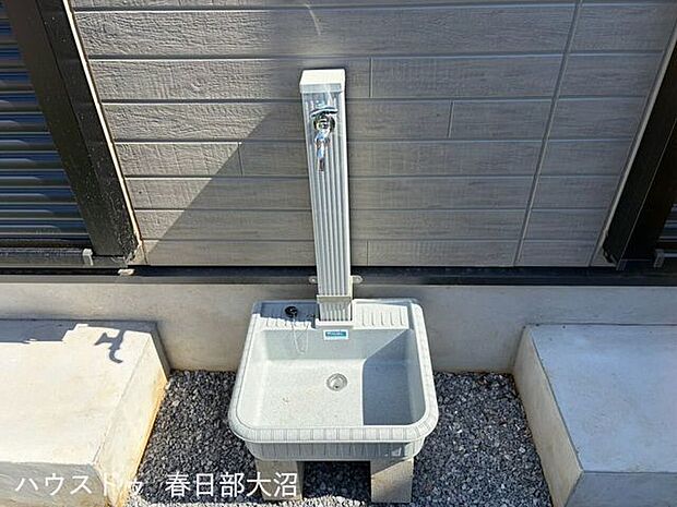 庭