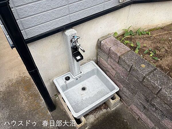 庭