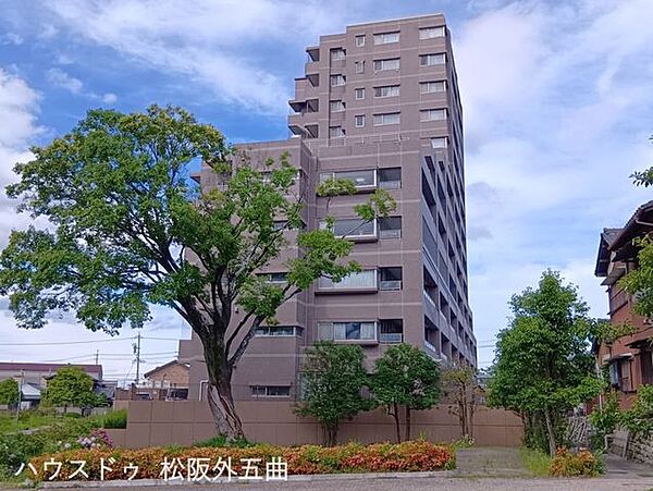 南西から北東に向かって撮影