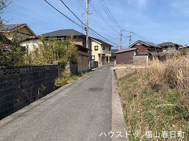 現地写真