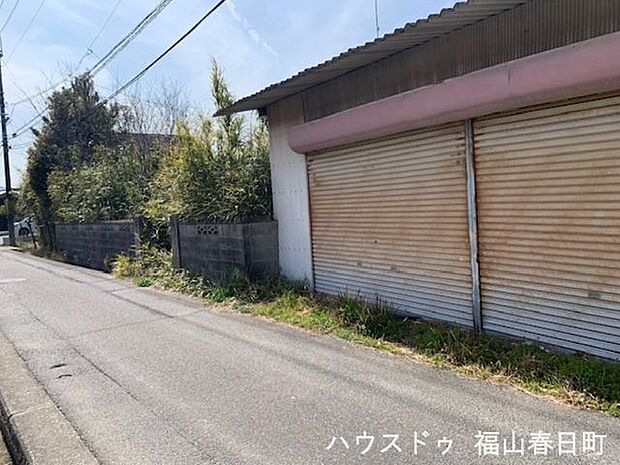 現地写真