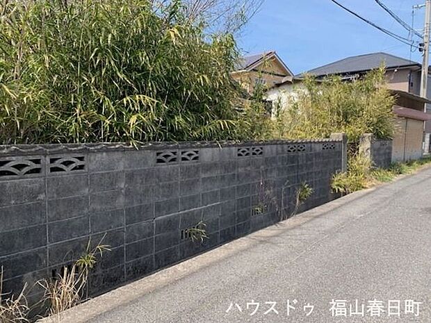 現地写真