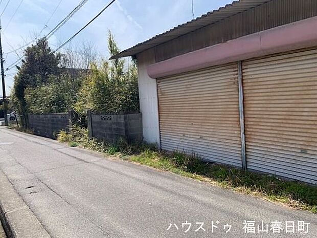 現地写真