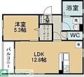 Plaisir新田4階6.0万円