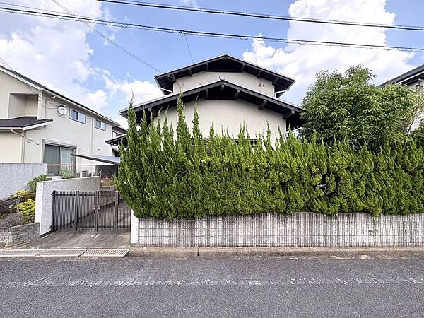 ◇現地写真◇