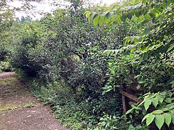 佐賀県佐賀市富士町大字古湯2138番22