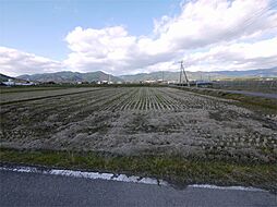 佐賀県神埼市神埼町田道ヶ里字平一本松3189番1、他