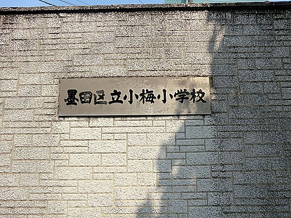 「墨田区立小梅小学校」は、隅田川に架かる言問橋近く、「墨田区立隅田公園」の隣に位置。新入生は墨堤の桜が満開の中、入学し、「笑顔で迎え、満足で帰す」をスローガンに、安全で楽しい学校を目指しています。